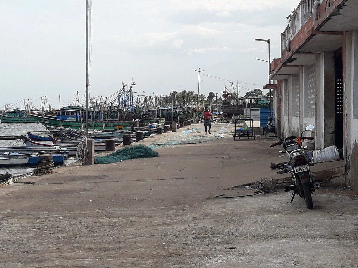 திரைகடலோடியும்