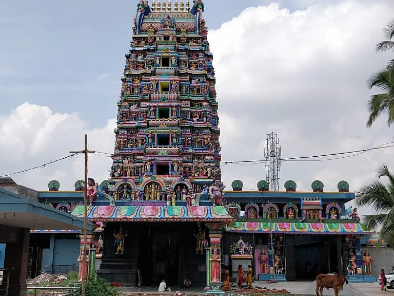 ஸ்ரீதன்வந்திரி ஹோமம்: 48 நாள்களில் வந்த பிணி அகல,வருத்தும் துன்பம் நீங்க நீங்களும் சங்கல்பியுங்கள்!