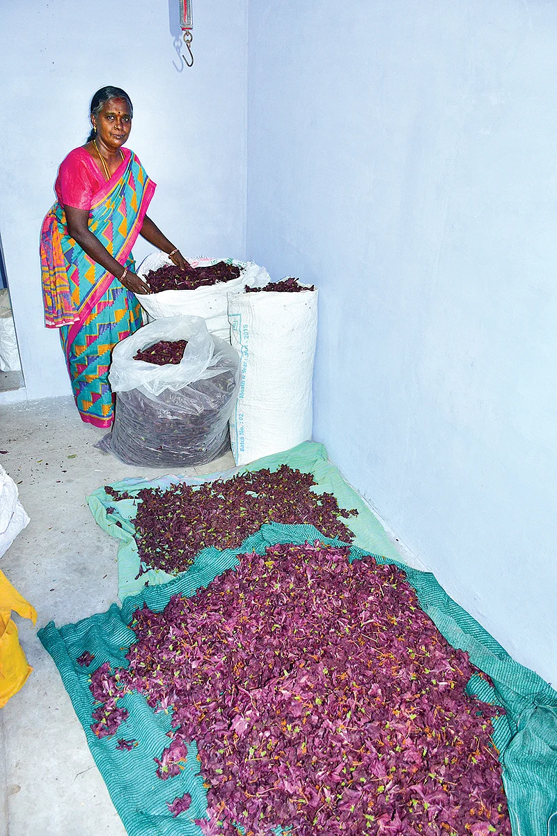 உலர வைத்த பூக்கள்