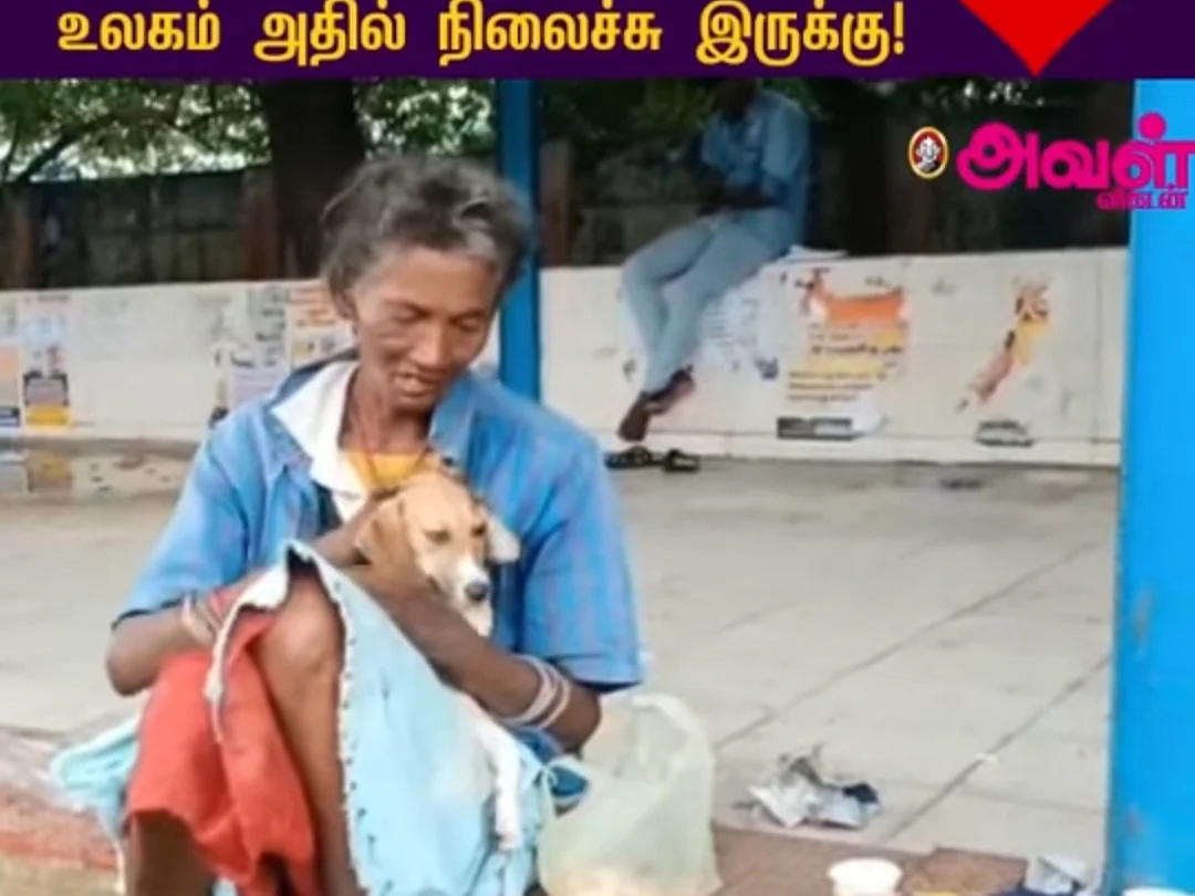 ஆதரவற்ற பாட்டிக்குக் கிடைத்த அடைக்கலம்; அவள் விகடன் வீடியோவுக்கு நன்றி சொன்ன தொண்டு அமைப்பு!