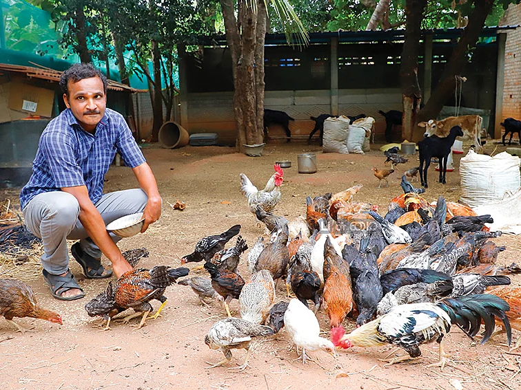 நாட்டுக்கோழி வளர்ப்பு... மாதம் ரூ.60,000 லாபம்... மாற்றுத்திறனாளியின் அசத்தல் முயற்சி!
