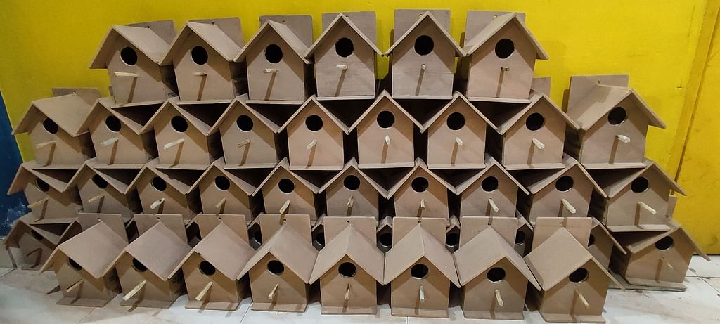 Sparrow's nest
