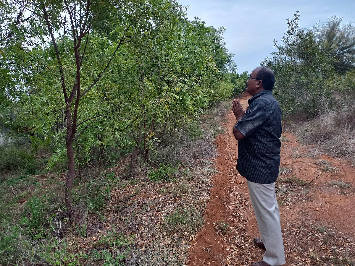 `7,000 மரப்பிள்ளைகளை பிரிய மனமில்லை!'
தான் உருவாக்கிய வனத்தை வணங்கி விடைபெற்ற டி.எஸ்.பி