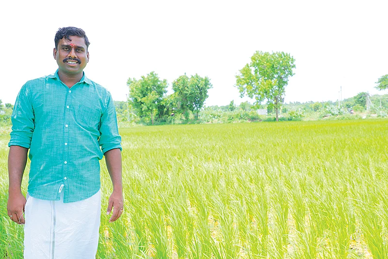 நெல் வயலில் சரண்யன்