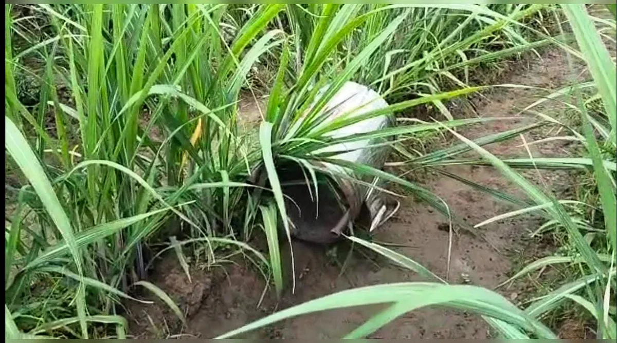உண்டியல் கொள்ளை