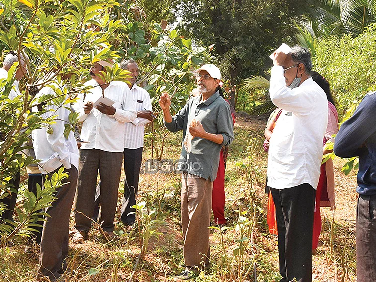 ஸ்பான்ச் கார்டு, கூர்க் ஆரஞ்சு, ருத்திராட்சை பலா... விதவிதமான பயிர்கள்... வித்தியாசமான உணவுக்காடு!