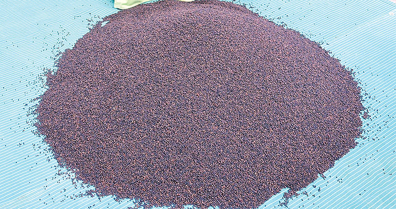 மிளகு