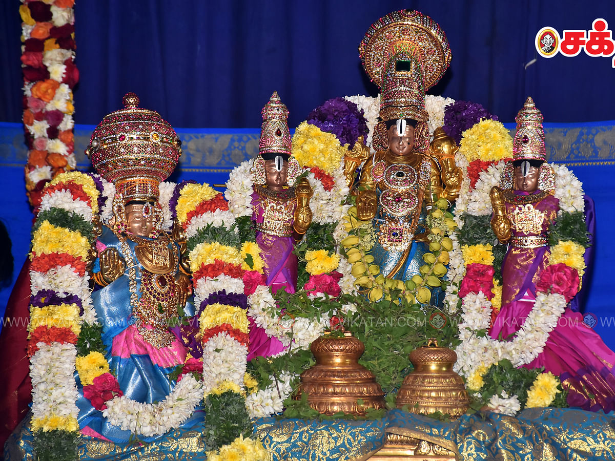 மதுரை ஶ்ரீ பிரசன்ன வேங்கடேச பெருமாள் கோயிலில் நடைபெற்ற அன்னகூட உற்சவம்! | Photo Album
