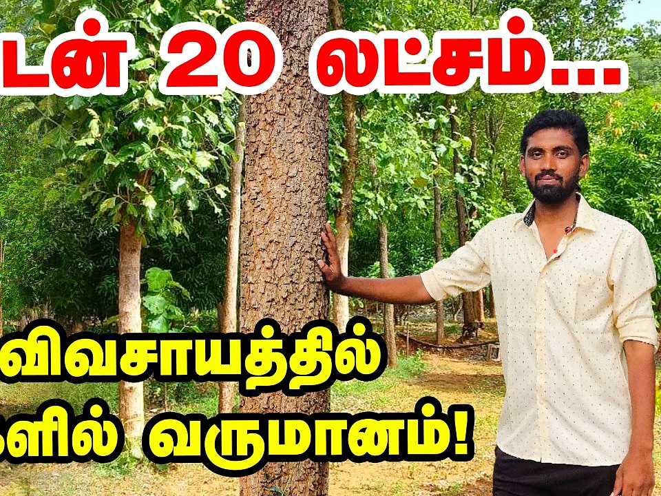 ஒரு டன் 20 லட்சம்; மர விவசாயத்தில் அசத்தும் வழக்கறிஞர்!