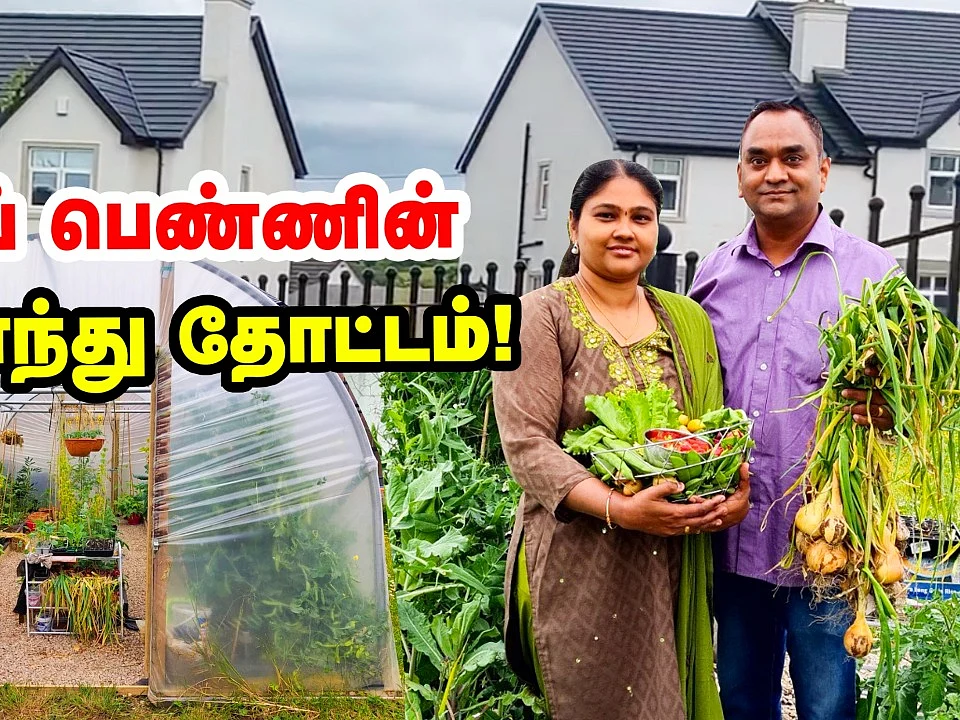 கோவை பெண்ணின் அயர்லாந்து தோட்டம்... வெளிநாட்டில் விளையும் நம் நாட்டு காய்கறிகள்!
