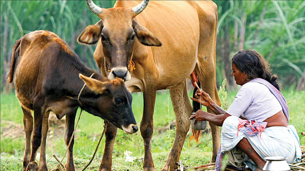 ஆரோக்கியம் ஒரு பிளேட்