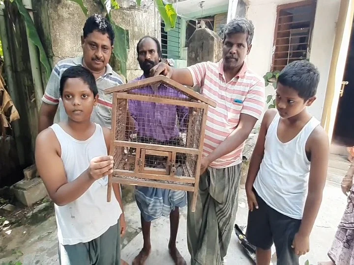 மரநாய்க்குட்டிகள்