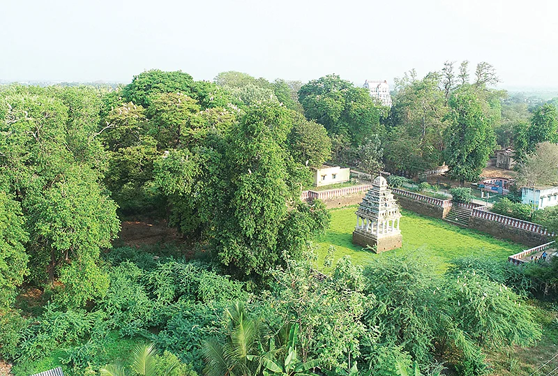 கோயில்களில் மரங்கள்