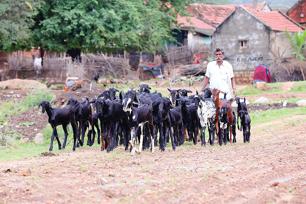 அந்த மூன்று நாள்கள் வீட்டிலிருந்தும் தூரம்... விநோத கிராமம்!
