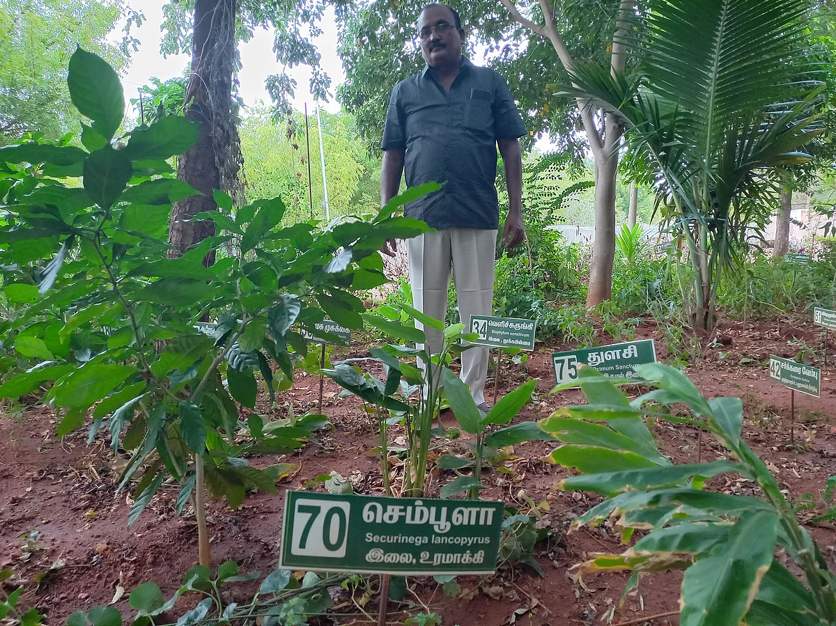 மூலிகை செடிகள் முன்பு அய்யர்சாமி