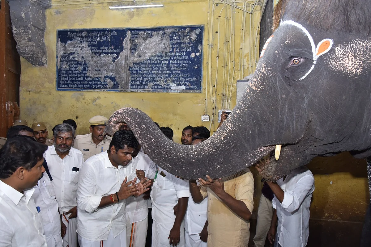 கோயில் யானையிடம் ஆசிர்வாதம் வாங்கும் அண்ணாமலை