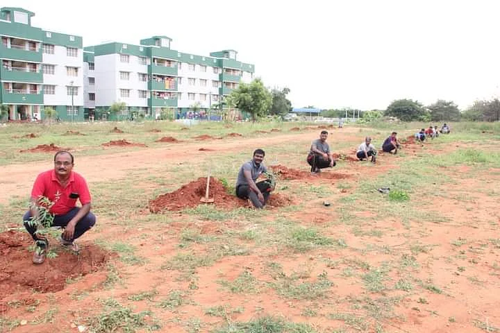 மரக்கன்றுகள் நடும் பணி