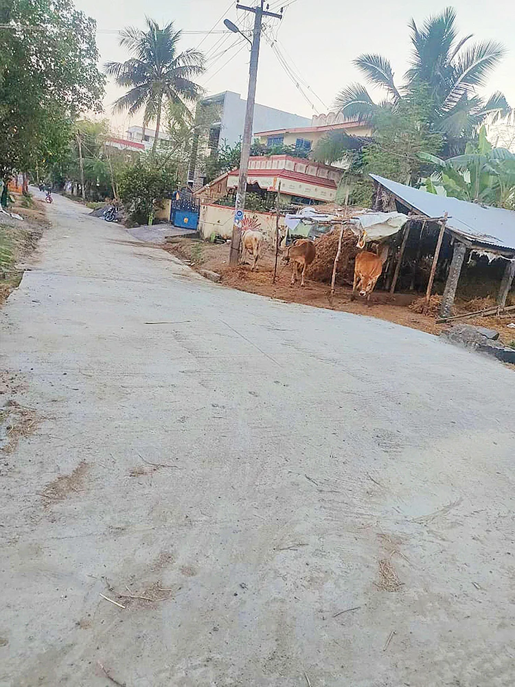 ‘ஊருக்கு ரோடு போட்ட மாப்பிள்ளை!’ - முன்னுதாரணமான விழுப்புரம் இளைஞர்