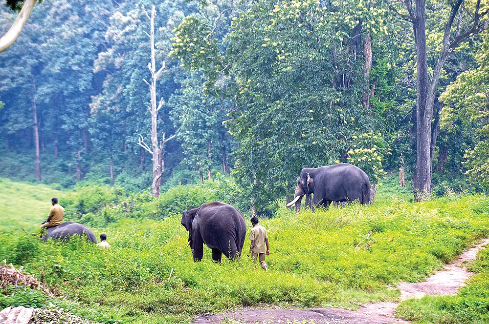 இன்பாக்ஸ்