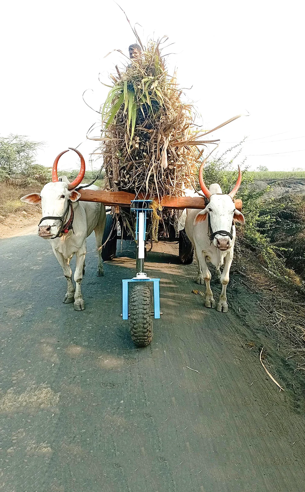 மாட்டுவண்டியில் பொருத்தப்பட்ட மூன்றாவது சக்கரம்
