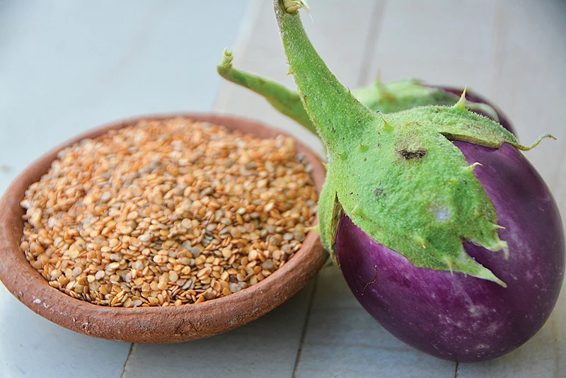 கத்திரிக்காய் மற்றும் விதைகள்