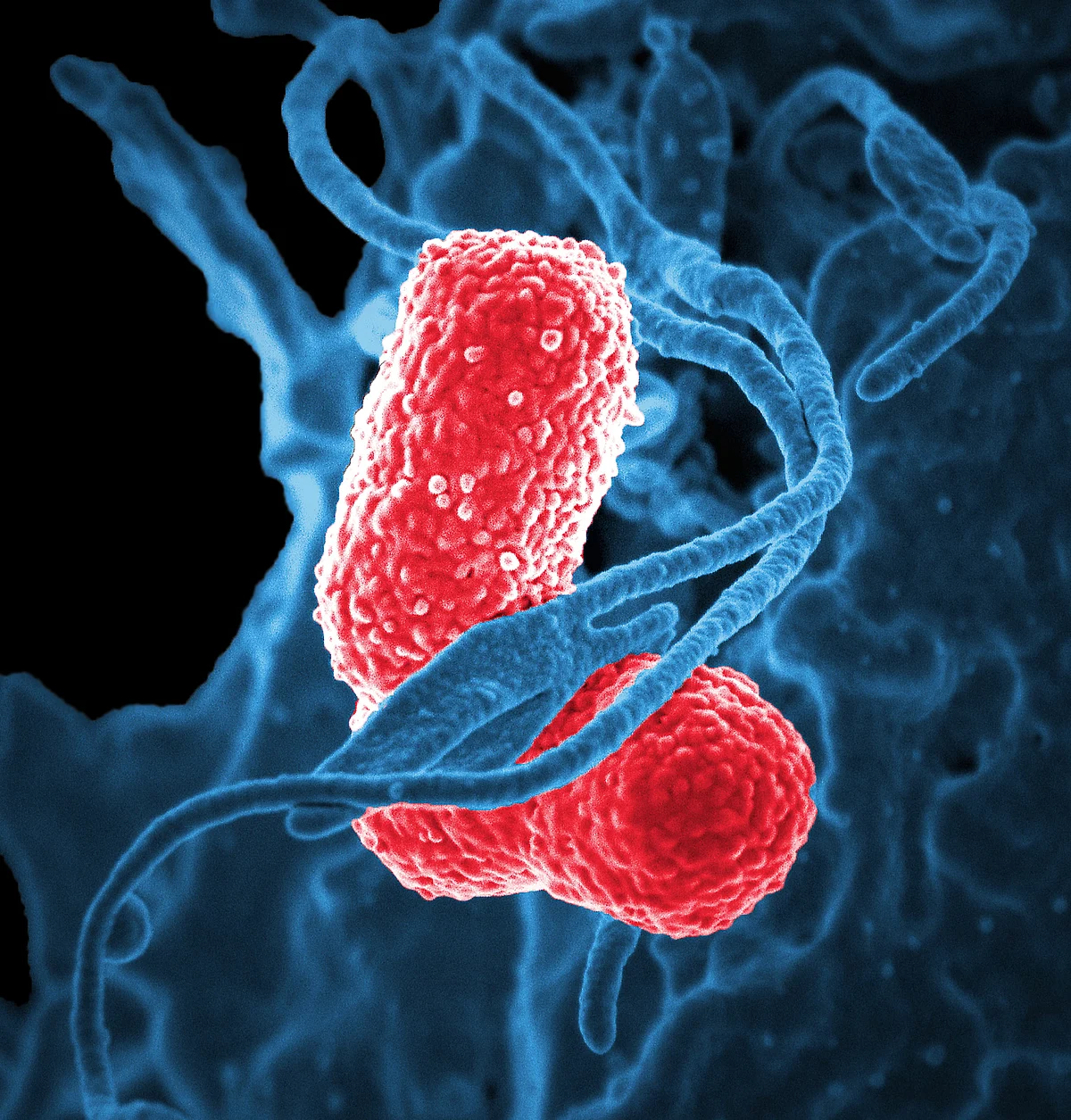 Representational Image