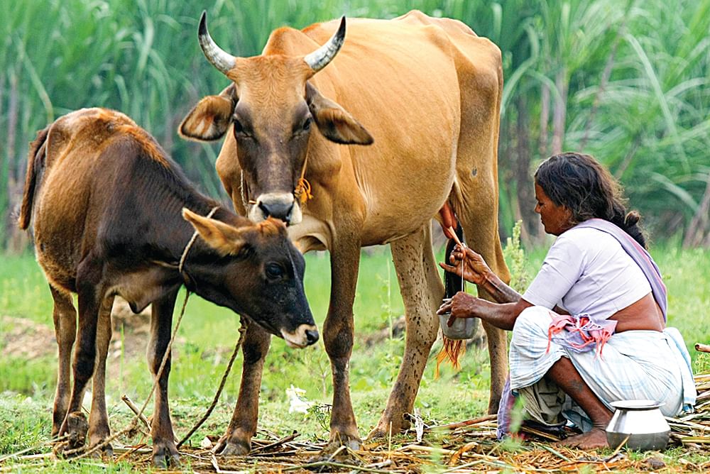 ஆரோக்கியம் ஒரு பிளேட் - 25