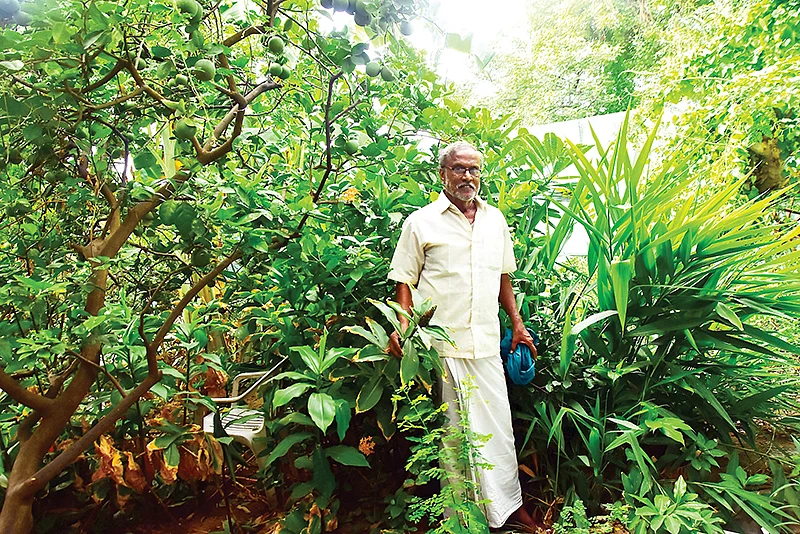 மண்டப வளாகத்துக்குள் வளர்க்கப்படும் தோட்டத்துக்குள் ராமமூர்த்தி