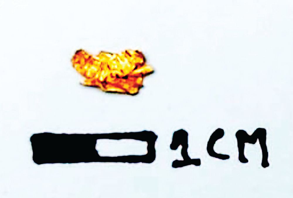 தமிழர் தொன்மை உணர்த்தும் தங்கக் காதணி!