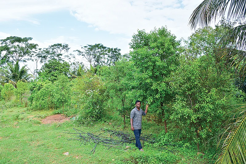 ராஜு