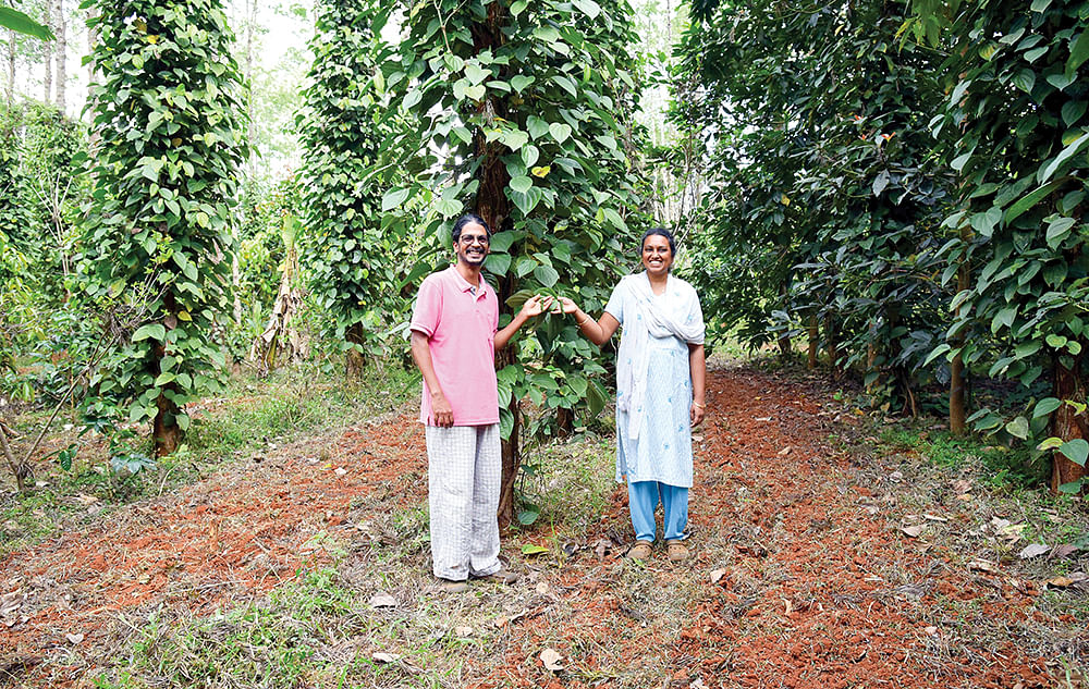 வினோத்குமார் – புனிதா தம்பதி