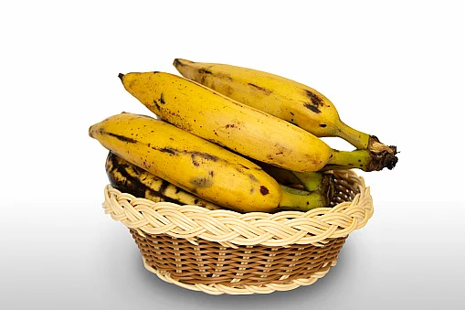 நேந்திரம்