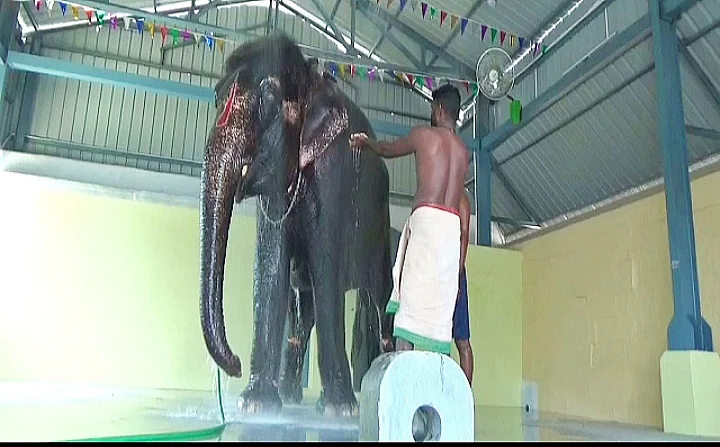 ஜெயமால்யதா