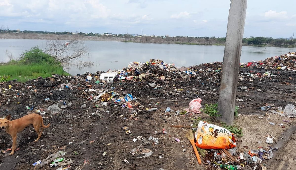 வேலூர்: கழிவுகளால் காணாமல்போகும் கழிஞ்சூர் ஏரி! - துரைமுருகன் கொடுத்த வாக்கு என்ன ஆனது?