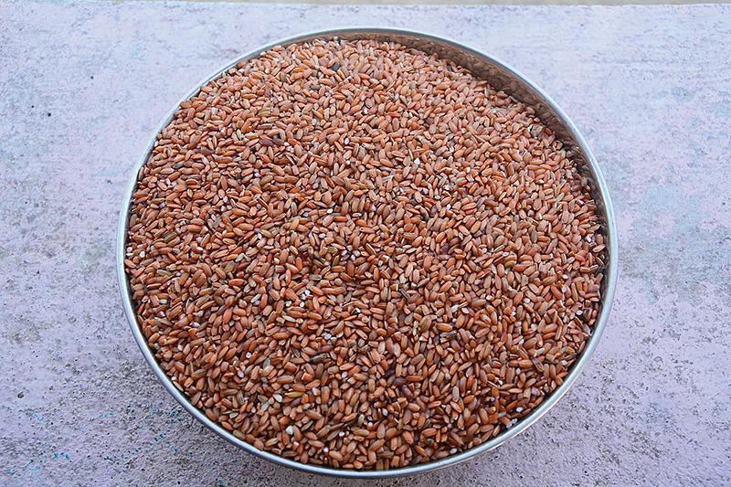 சிவப்பரிசி