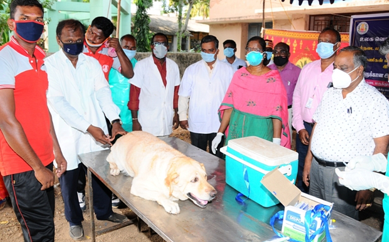 ரேபிஸ் நோய் தடுப்பு
