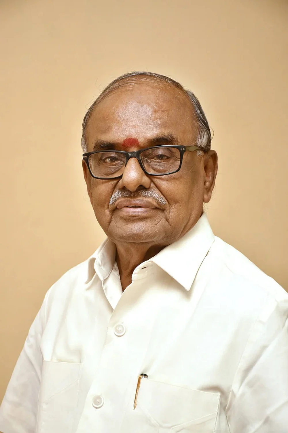 வி.எஸ்.நடராஜன்