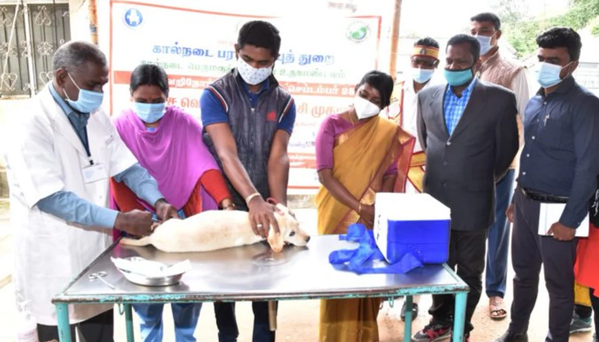 ரேபிஸ் நோய் தடுப்பு