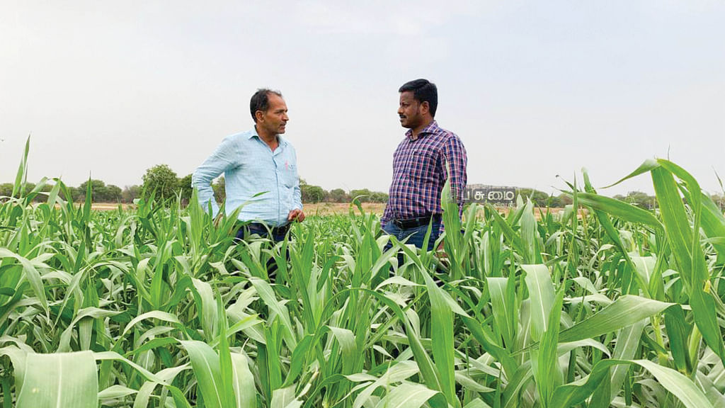 வயலில் மகாலிங்கம் கோவிந்தராஜ்