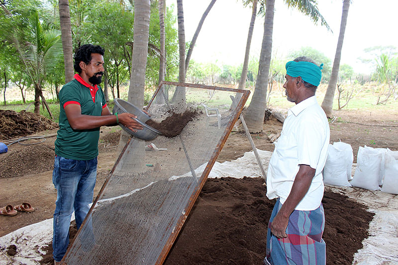 மண்புழு உரம் பேக்கிங் செய்யும் பணி