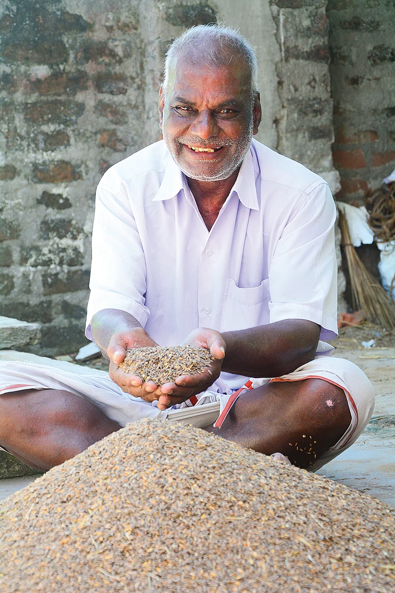 பாரம்பர்ய நெல்லுடன்