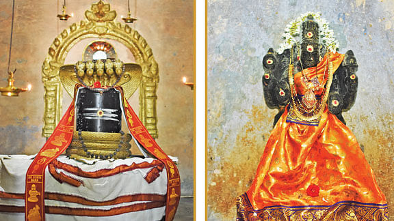 ஸ்ரீபிரகதீஸ்வரர் - ஸ்ரீமாணிக்க நாச்சியார்