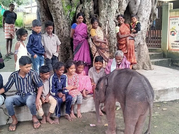 பள்ளிச் சிறுவர்களுடன் விளையாடி மகிழ்ந்த குட்டி யானை! -மீட்டு தாயுடன் சேர்த்த வனத்துறை | Viral Photos