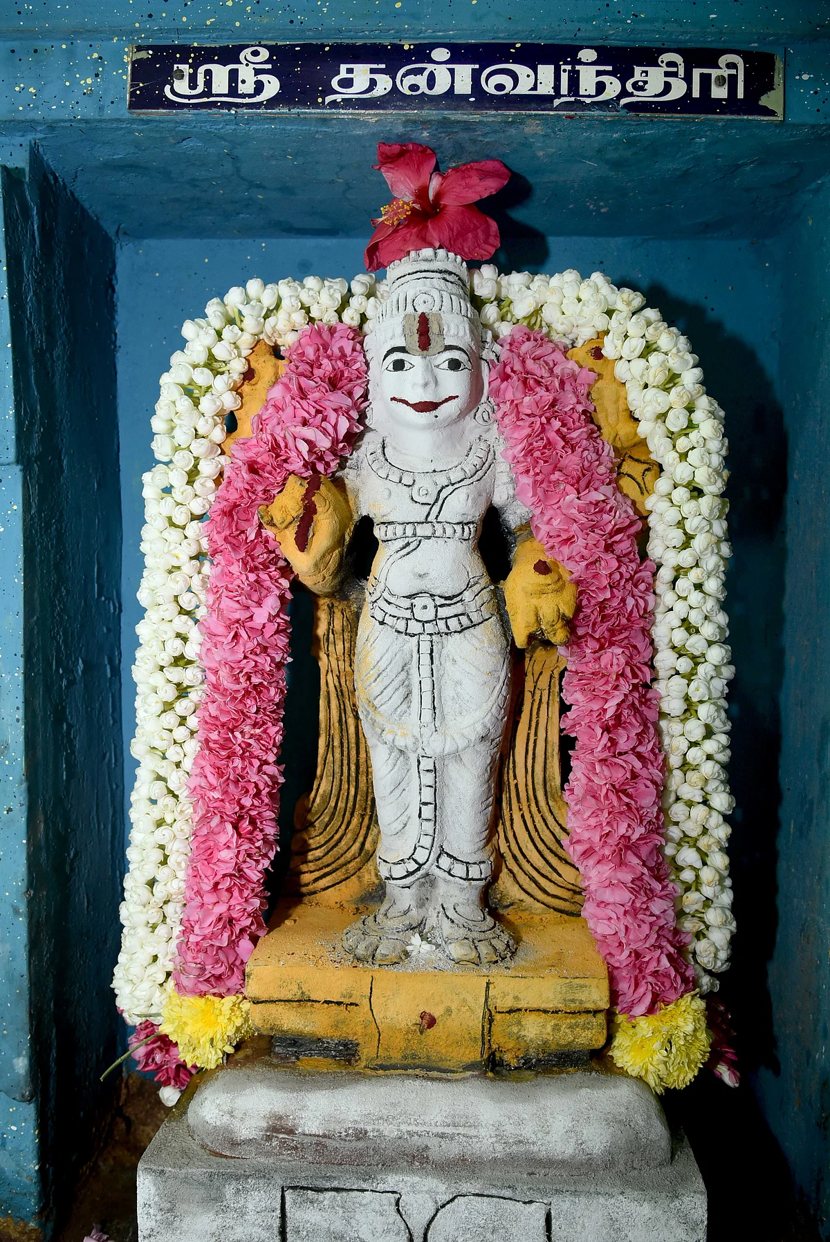 தன்வந்திரி