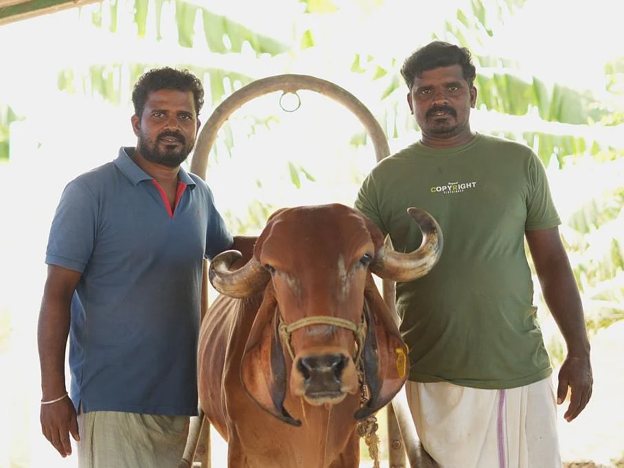 சி.வீரப்பன், சி.அசோக்குமார்