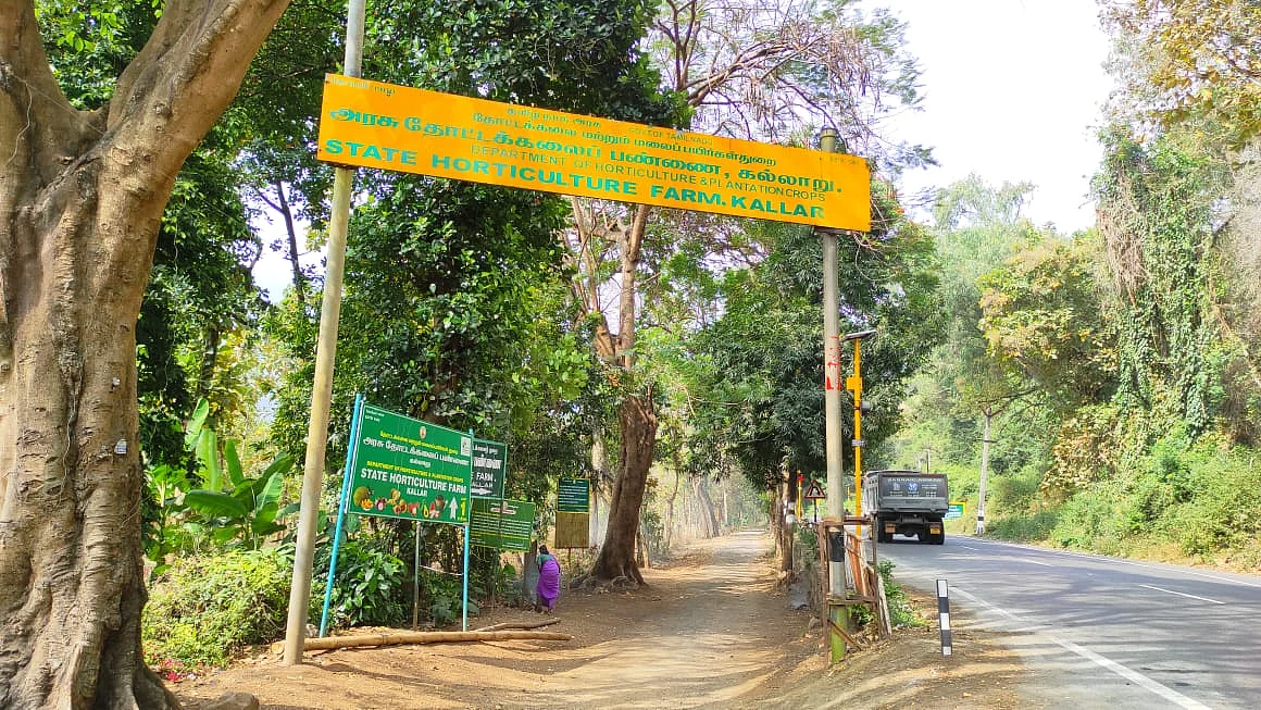 கல்லாறு பழப்பண்ணை