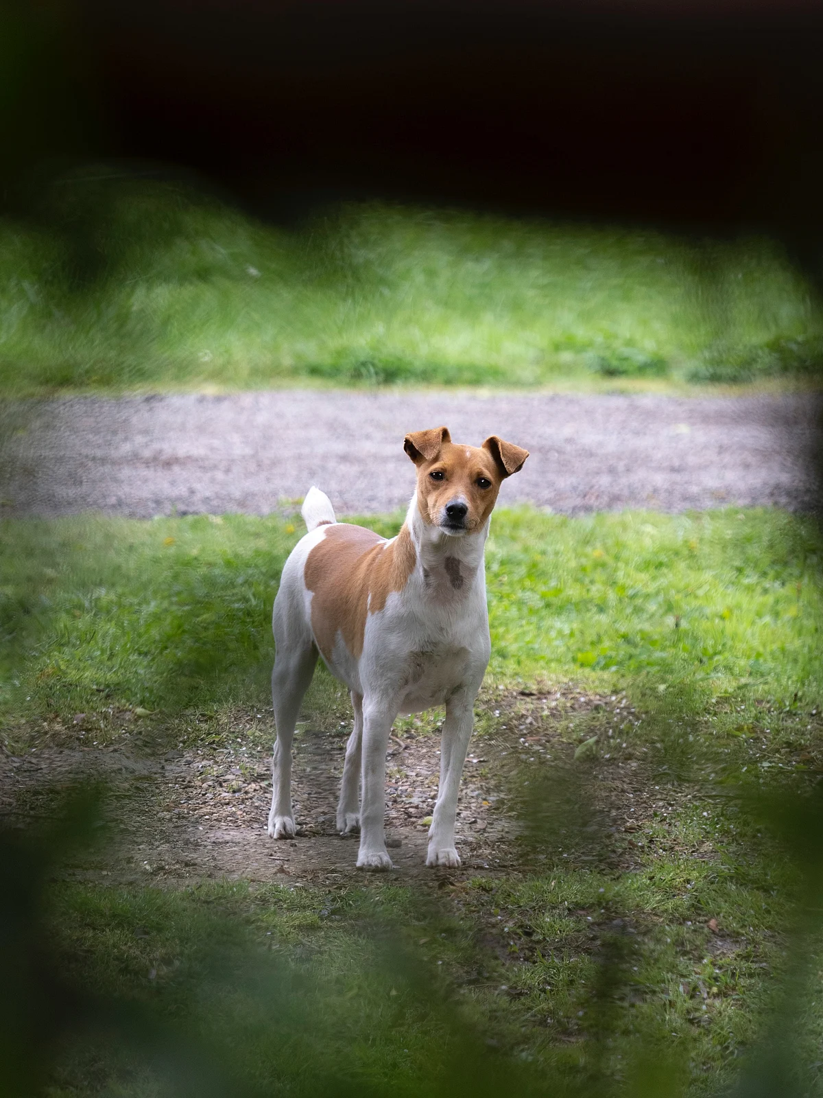 Representational Image