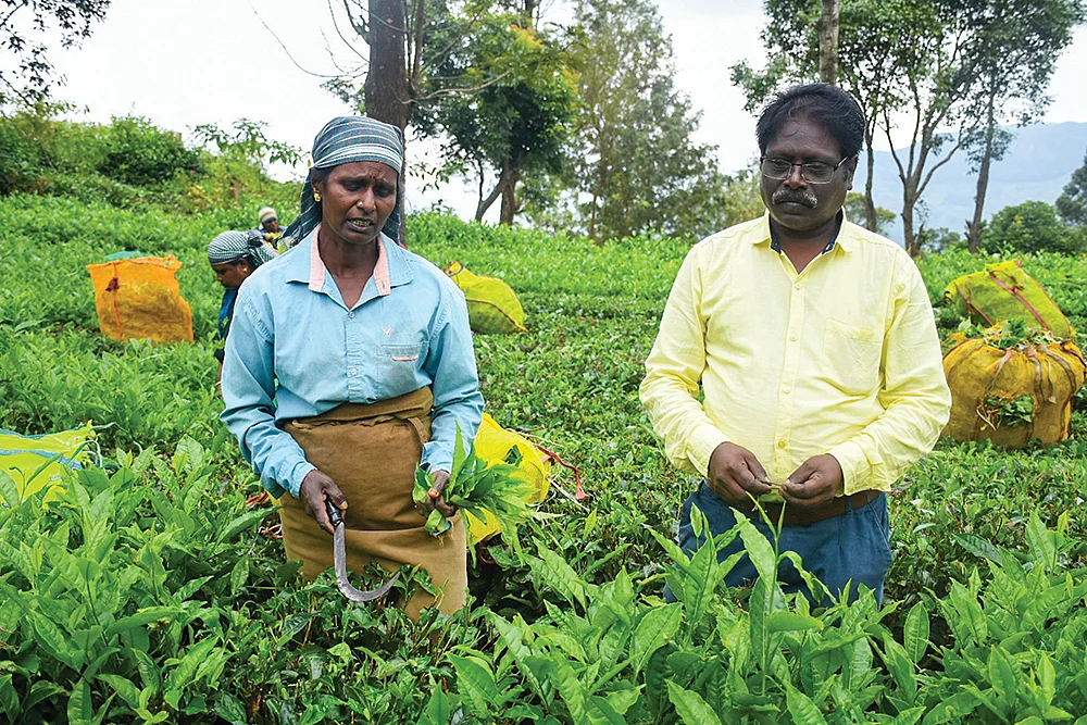இன்பாக்ஸ்