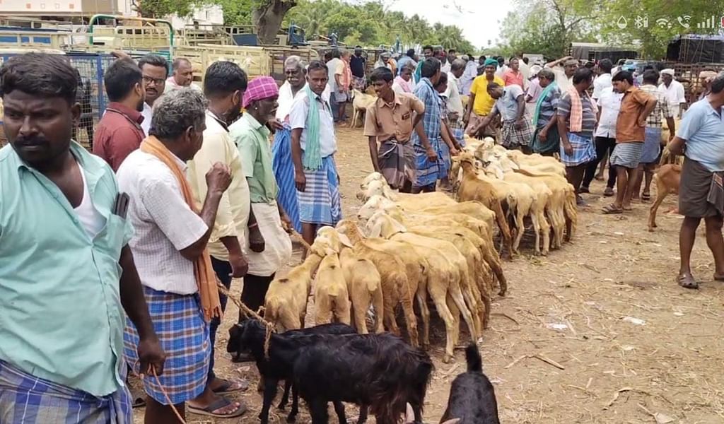 ஆட்டுச்சந்தை