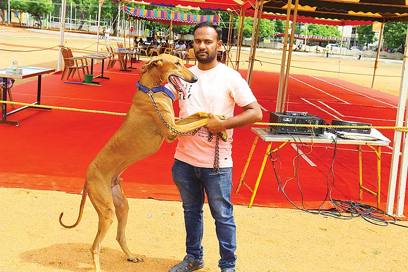 கண்காட்சியில்